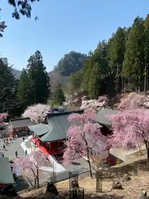 金櫻神社(山梨県)