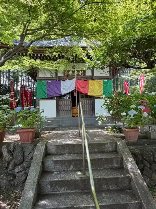 長泉院の{uncategorized: "未分類", other: "その他", undefined: "問題あり", building: "その他建物", grave: "お墓", sacred_gate: "鳥居", guardian: "狛犬", statue: "像", buddha: "仏像", history: "歴史", nature: "自然", garden: "庭園", animal: "動物", pagoda: "塔", temizu: "手水舎", mountain_gate: "山門・神門", sanctuary: "本殿・本堂", subordinate: "末社・摂社", art: "芸術", scenery: "景色", jizo: "地蔵", ema: "絵馬", goshuin: "御朱印", omikuji: "おみくじ", items: "授与品その他", amulet: "お守り", goshuincho: "御朱印帳", eats: "食事", festival: "お祭り", votive_dance: "神楽", shichigosan: "七五三参", wedding: "結婚式", experience: "体験その他", initially: "初詣", around: "周辺", anti_infection: "感染症対策"}
