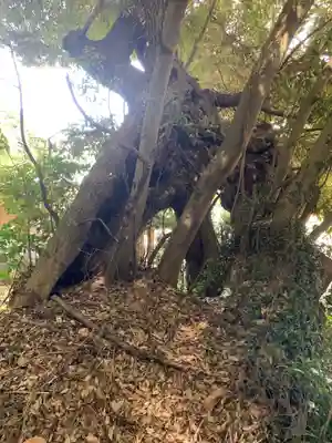 光明寺(千葉県)