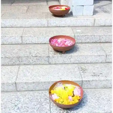 彌彦神社 (伊夜日子神社)の庭園