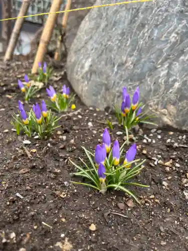 宝壽山 吉祥院の自然