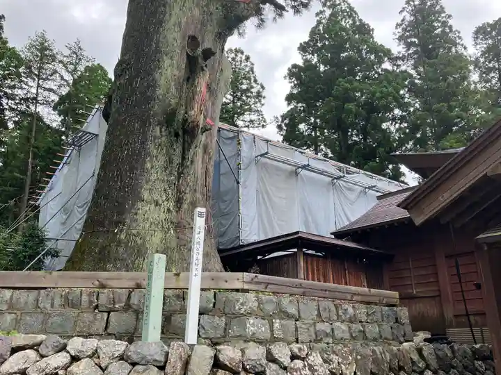 久津八幡宮(岐阜県)