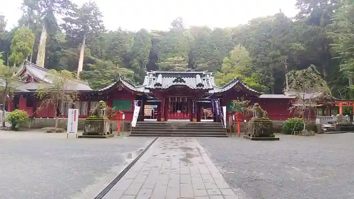 箱根神社の本殿・本堂