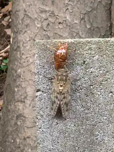 法華寺(神奈川県)