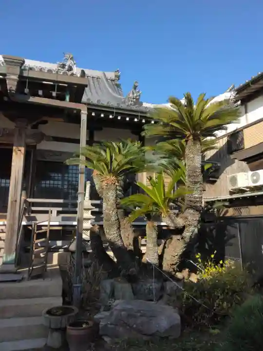 長光寺の本殿・本堂