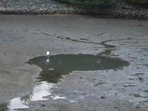厳島神社(広島県)
