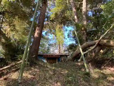 八坂神社の自然