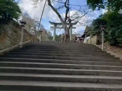 足羽神社の鳥居