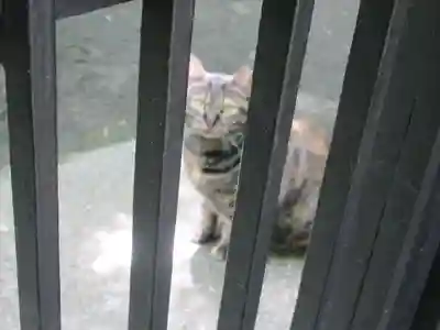 無量寺(東京都)