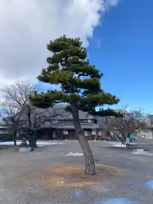 桑名別院本統寺(三重県)