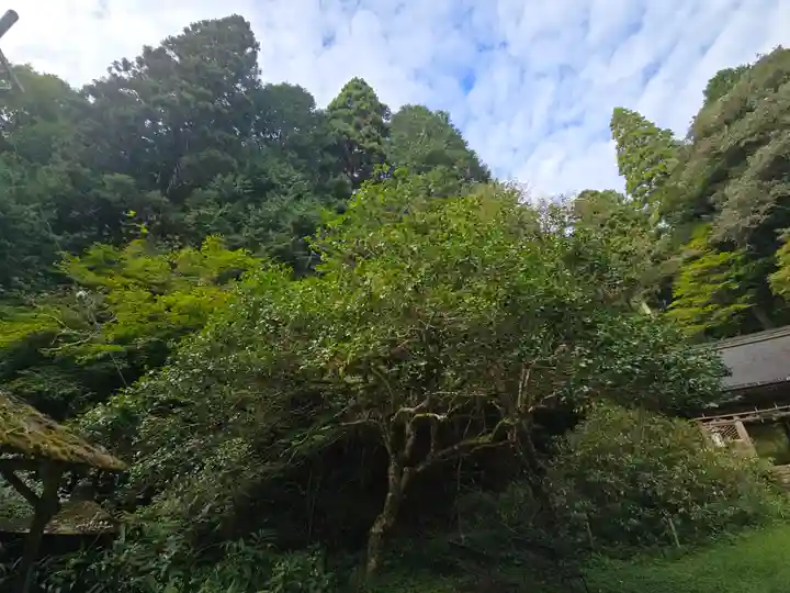 志明院(金光峯寺)(京都府)