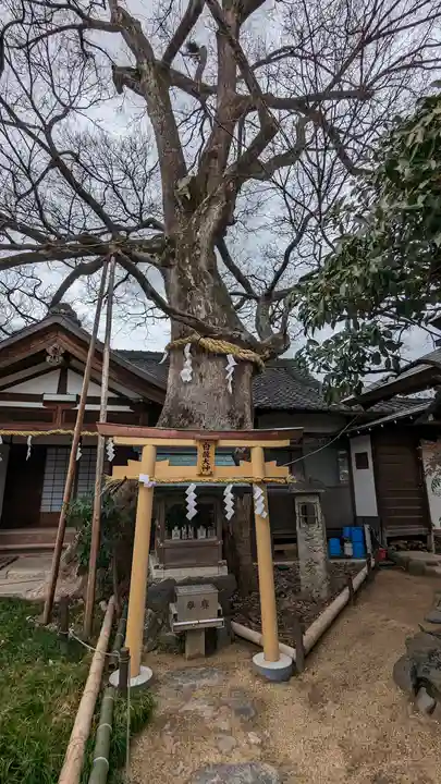 齋宮神社(京都府)