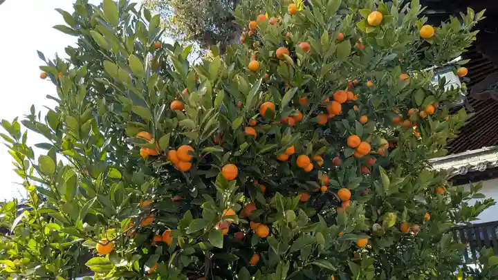 三津厳島神社(愛媛県)