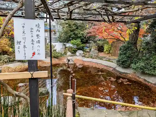 愛宕神社の庭園