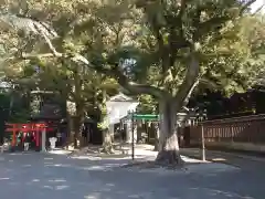 宇都宮二荒山神社の自然