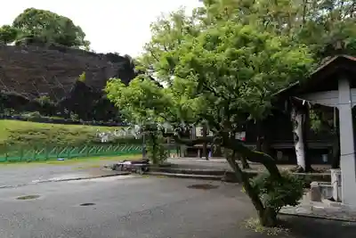 熊本大神宮(熊本県)