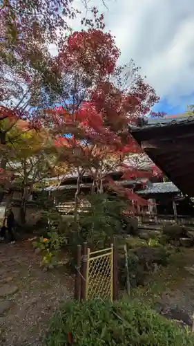 勝持寺（花の寺）(京都府)
