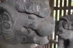 川口神社の狛犬