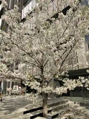 赤城神社(東京都)