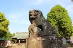 谷原氷川神社の狛犬