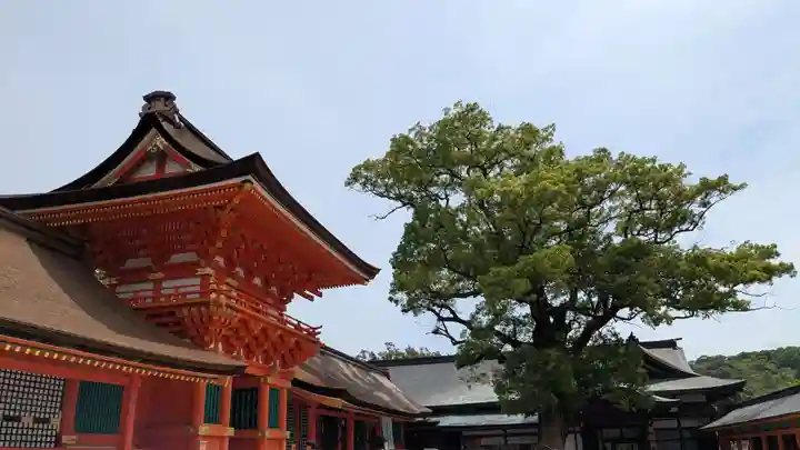 宇佐神宮の本殿・本堂