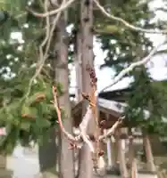 高司神社〜むすびの神の鎮まる社〜(福島県)