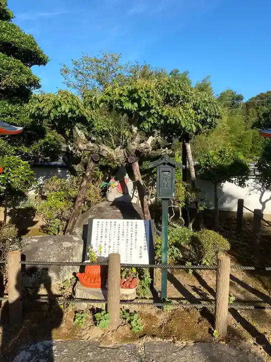 明星院(大師霊園)の庭園