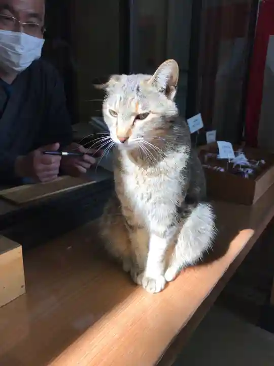 野木神社の動物