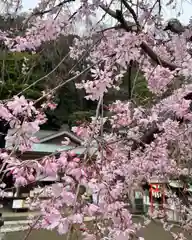 根岸八幡神社(神奈川県)