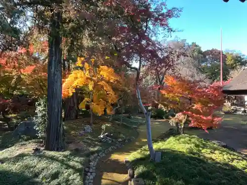 喜多院(埼玉県)