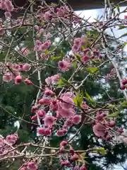 土津神社｜こどもと出世の神さまの自然