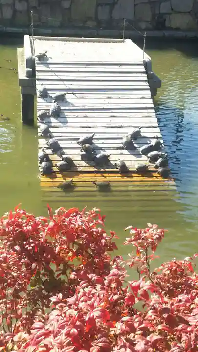 四天王寺(大阪府)