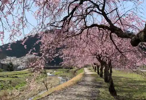 朝倉神社の自然