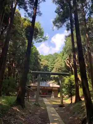 大宮大神(千葉県)