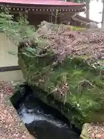 小田倉神社の自然