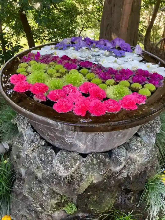 武蔵一宮氷川神社(埼玉県)