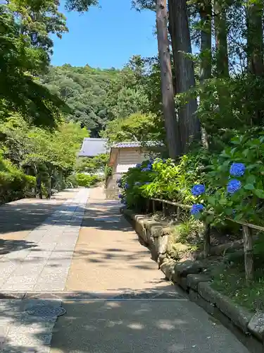 円覚寺(神奈川県)