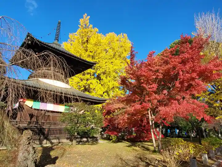 鑁阿寺(栃木県)