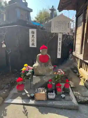 善楽寺の{uncategorized: "未分類", other: "その他", undefined: "問題あり", building: "その他建物", grave: "お墓", sacred_gate: "鳥居", guardian: "狛犬", statue: "像", buddha: "仏像", history: "歴史", nature: "自然", garden: "庭園", animal: "動物", pagoda: "塔", temizu: "手水舎", mountain_gate: "山門・神門", sanctuary: "本殿・本堂", subordinate: "末社・摂社", art: "芸術", scenery: "景色", jizo: "地蔵", ema: "絵馬", goshuin: "御朱印", omikuji: "おみくじ", items: "授与品その他", amulet: "お守り", goshuincho: "御朱印帳", eats: "食事", festival: "お祭り", votive_dance: "神楽", shichigosan: "七五三参", wedding: "結婚式", experience: "体験その他", initially: "初詣", around: "周辺", anti_infection: "感染症対策"}