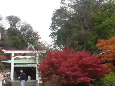 鎌倉宮のその他建物