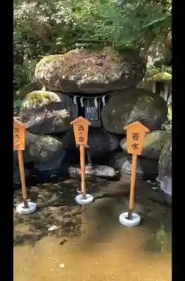 日光二荒山神社の{uncategorized: "未分類", other: "その他", undefined: "問題あり", building: "その他建物", grave: "お墓", sacred_gate: "鳥居", guardian: "狛犬", statue: "像", buddha: "仏像", history: "歴史", nature: "自然", garden: "庭園", animal: "動物", pagoda: "塔", temizu: "手水舎", mountain_gate: "山門・神門", sanctuary: "本殿・本堂", subordinate: "末社・摂社", art: "芸術", scenery: "景色", jizo: "地蔵", ema: "絵馬", goshuin: "御朱印", omikuji: "おみくじ", items: "授与品その他", amulet: "お守り", goshuincho: "御朱印帳", eats: "食事", festival: "お祭り", votive_dance: "神楽", shichigosan: "七五三参", wedding: "結婚式", experience: "体験その他", initially: "初詣", around: "周辺", anti_infection: "感染症対策"}