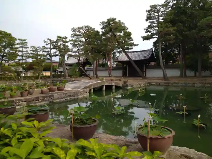 相国寺(相国承天禅寺)(京都府)