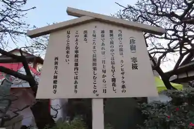 西新井大師総持寺の歴史