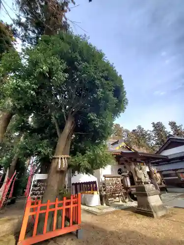 鏡石鹿嶋神社 ＊安産・開運・勝利の神さま＊(福島県)
