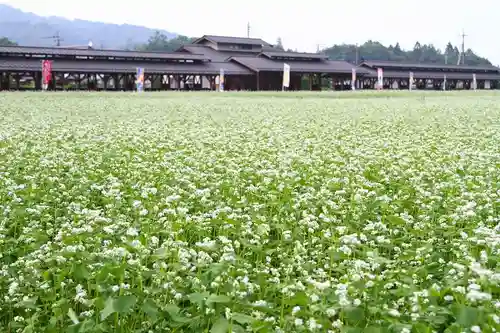 秩父札所十一番 常楽寺の景色