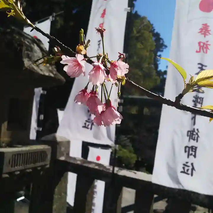久能山東照宮の自然