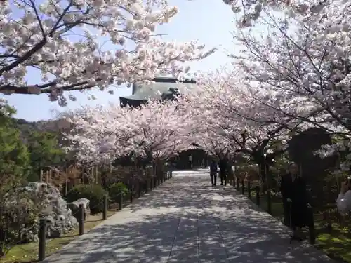 建長寺の建物その他