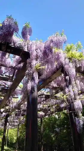 相馬神社の自然