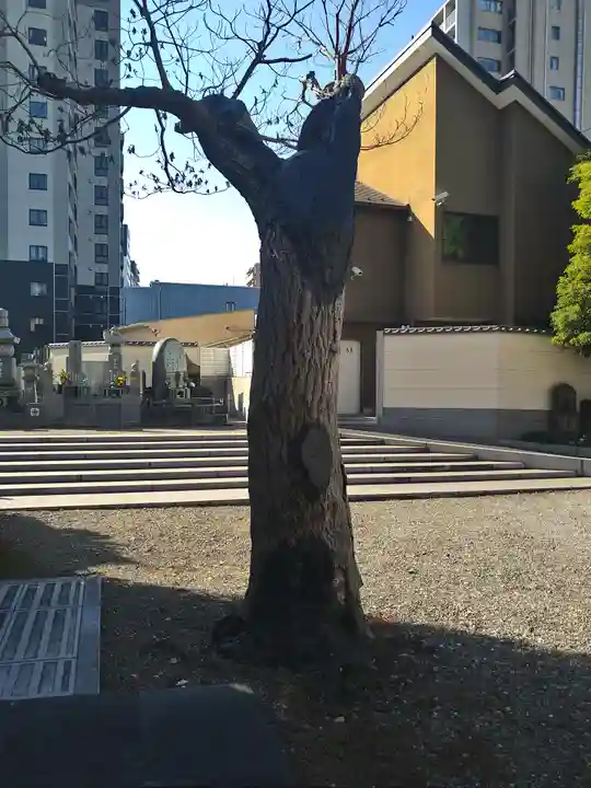 南蔵院(東京都)