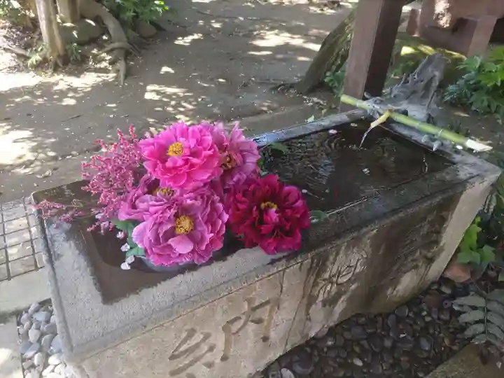 柏諏訪神社の手水舎